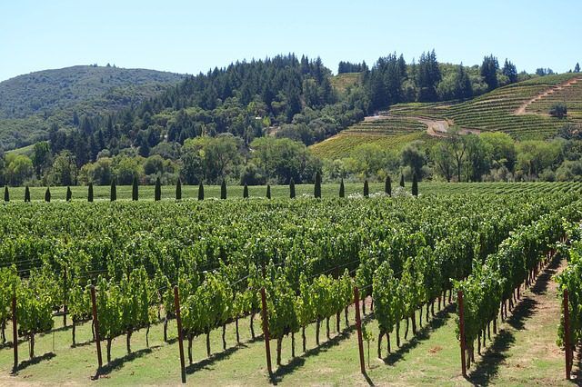 Coombsville Wine Tours - Wine Country Limos